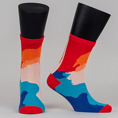 Носки Nordski MULTICOLOR W