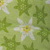 edelweiss green